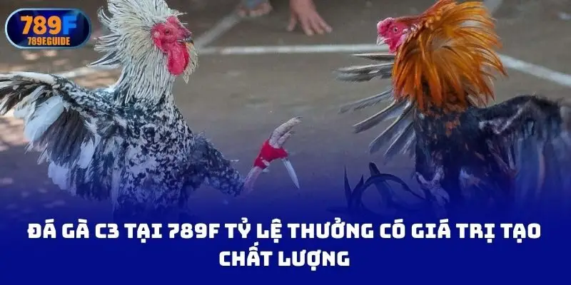 Đá gà c3 tại 789f tỷ lệ thưởng có giá trị tạo chất lượng