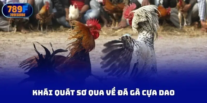 Khái quát sơ qua về đá gà cựa dao